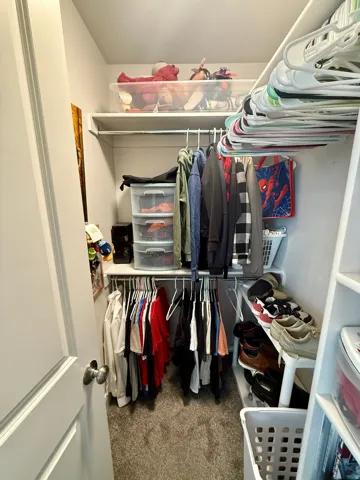 Closet featuring carpet flooring, built-in shelving, and multiple clothing rods