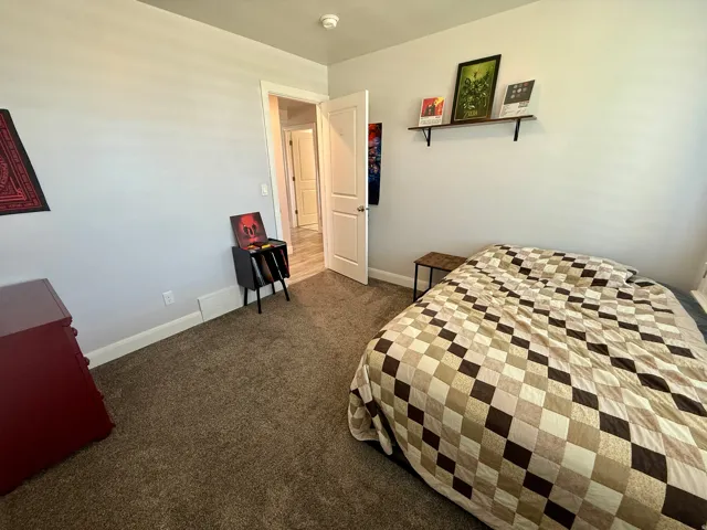 Plush carpeting, light gray wall paint, white baseboards, and a white interior door with a silver-tone handle
