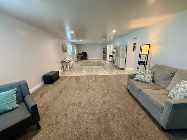 Expansive open-concept room featuring plush carpeting and wood-finish flooring