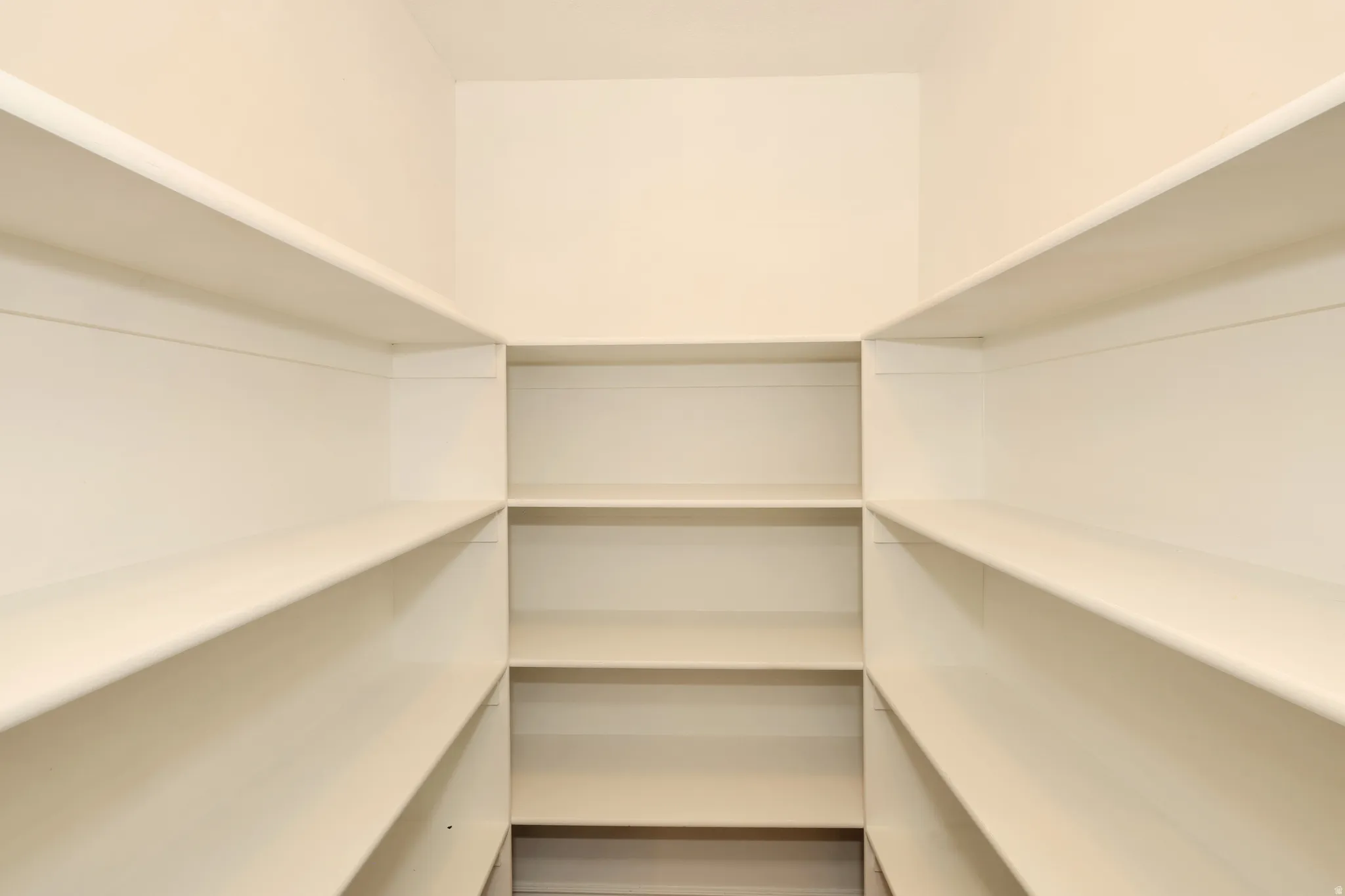 Walk-in pantry featuring extensive built-in shelving, providing ample storage capacity