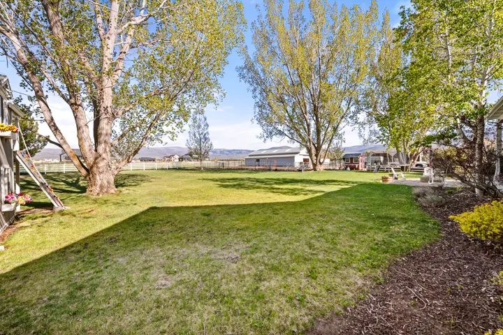 Expansive grassy lawn with mature trees providing natural shade