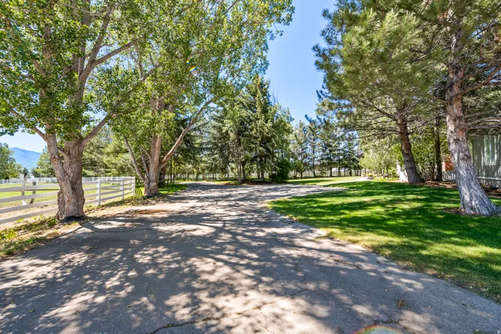 Paved driveway with mature trees, green lawn, and white perimeter fencing