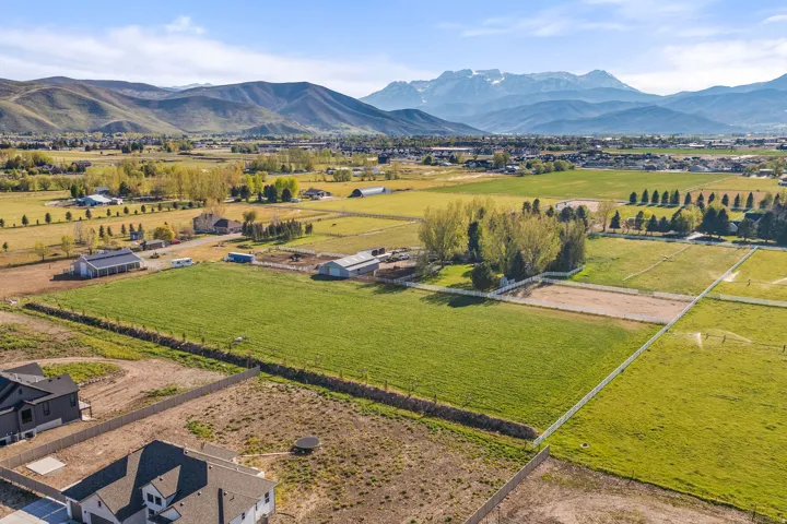 Expansive green fields with distant mountain backdrop