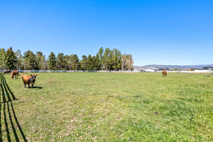 Expansive green pasture with a white perimeter fence, mature evergreen trees, and distant mountain range