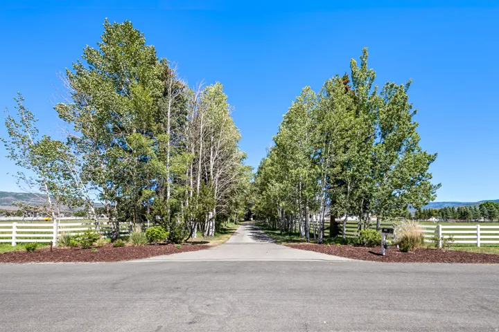 Paved driveway entrance bordered by mature trees and white fencing