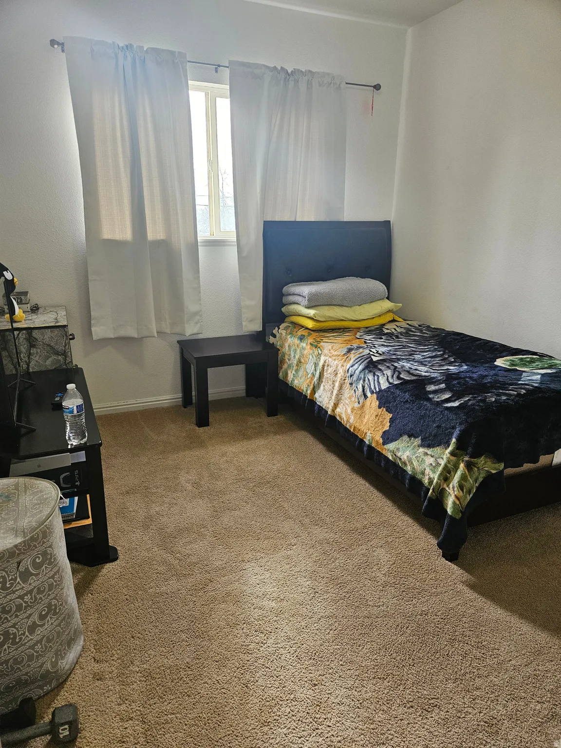 Carpeted room featuring a single window with white curtains and neutral wall finishes