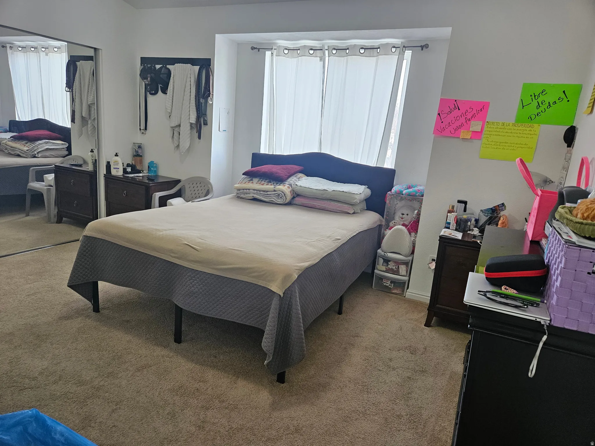 Carpeted room with a mirrored closet door and a window with white drapes