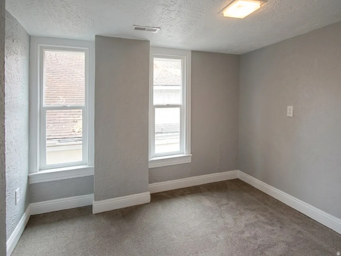 Room featuring two double-hung windows, light gray wall paint, textured ceiling, a flush-mount ceiling light, and carpet flooring