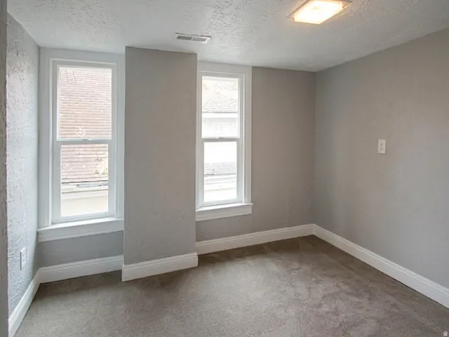 Room featuring two double-hung windows, light gray wall paint, textured ceiling, a flush-mount ceiling light, and carpet flooring