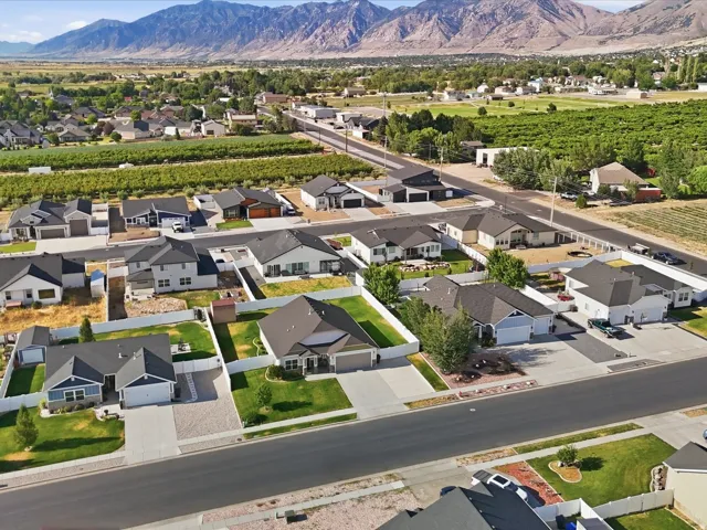 Aerial perspective