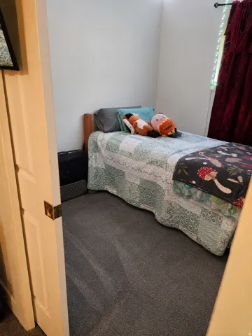 Room with light gray wall paint and dark gray carpeting