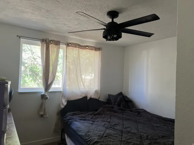Ceiling fan with a matte black finish and integrated lighting