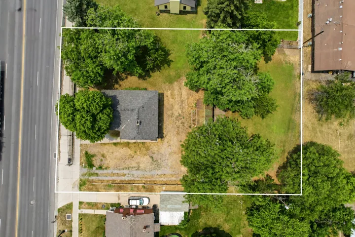 Expansive lot with mature trees and direct street access