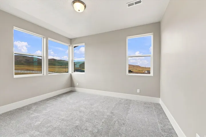 Neutral wall color, wall-to-wall carpeting, multiple windows, and a flush mount ceiling light