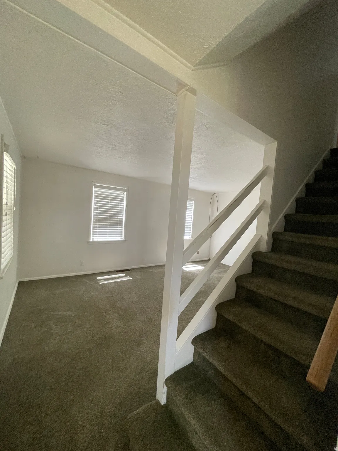 Carpeted stairway with white railing, leading to a carpeted room with multiple windows