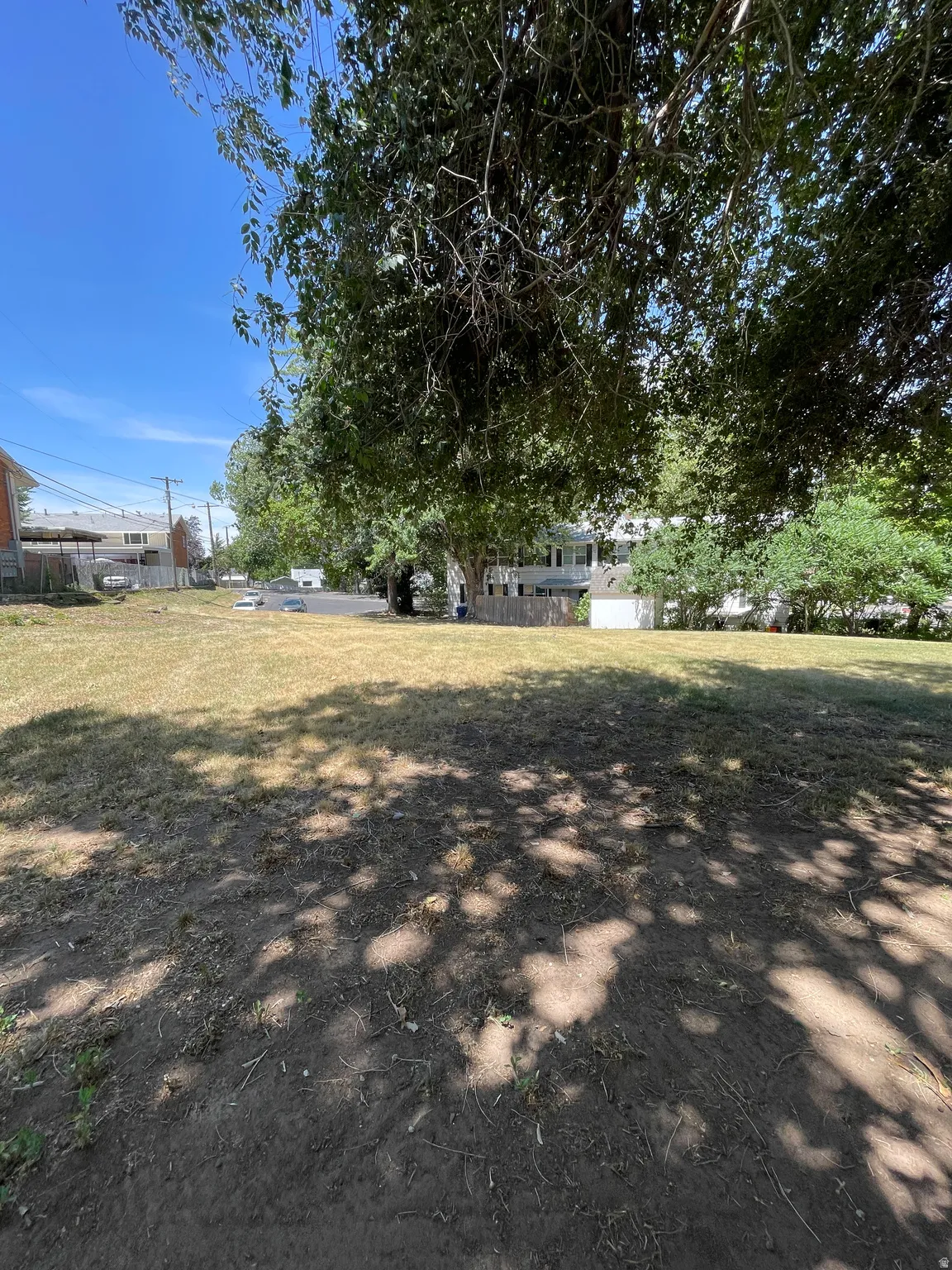 Expansive lot featuring mature trees providing shade and an open, grassy area