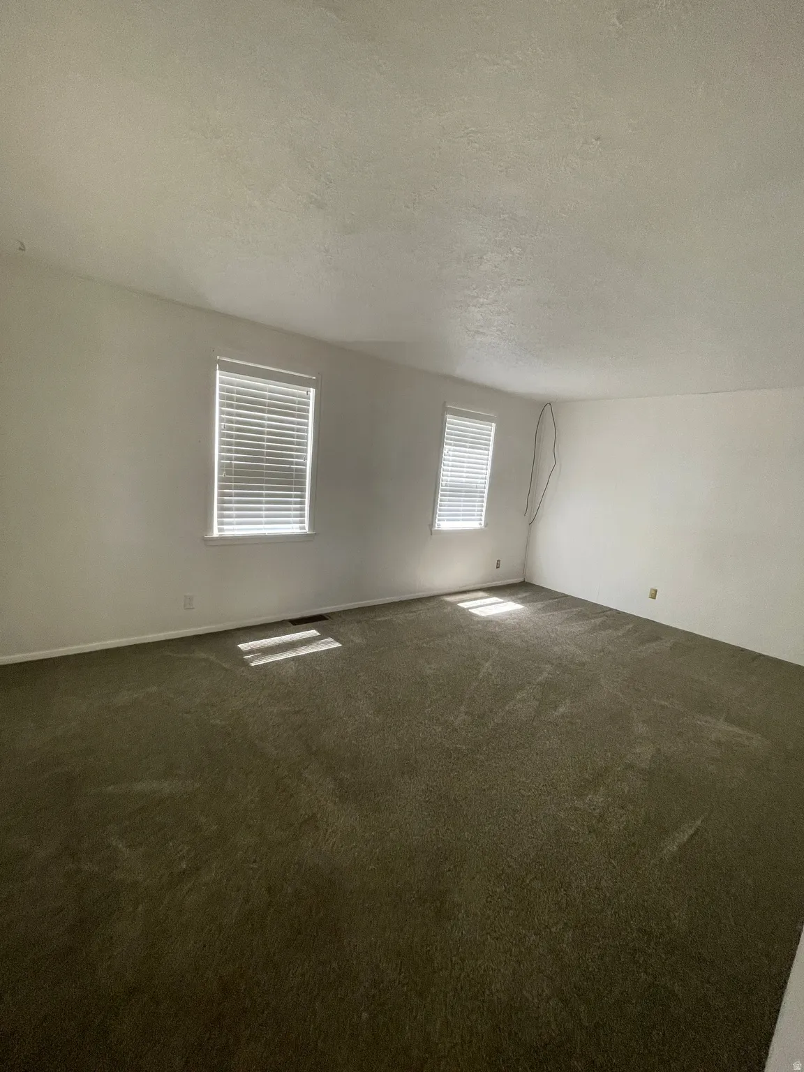 Spacious interior room featuring wall-to-wall carpeting and two windows with blinds