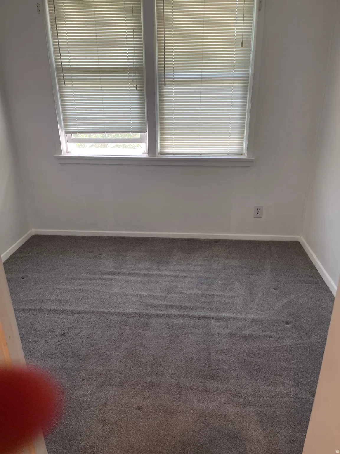 Room featuring neutral gray carpet, white walls, and a double window with blinds