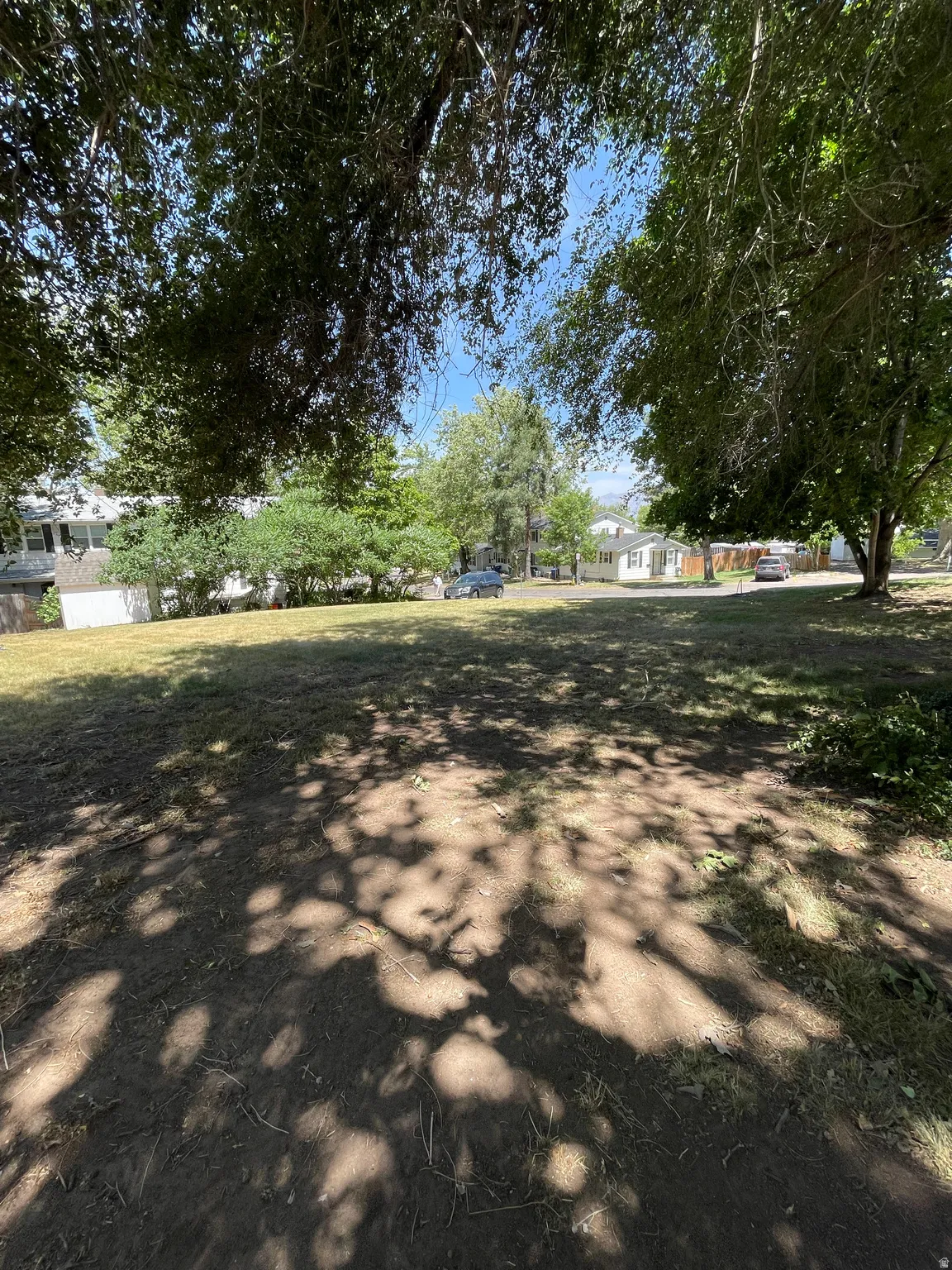 Expansive cleared lot with mature perimeter trees