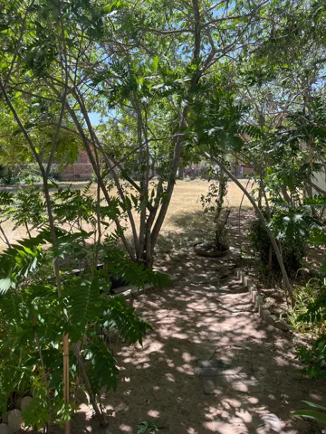 Garden pathway featuring natural tree canopy and partial brick wall structure
