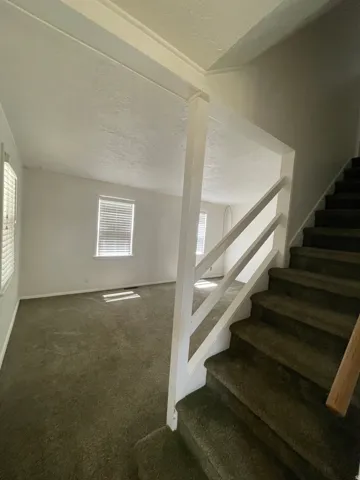Carpeted stairway with white railing, leading to a carpeted room with multiple windows