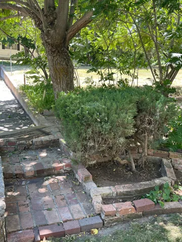 Brick paver pathway with a stone retaining wall and mature tree providing ample shade