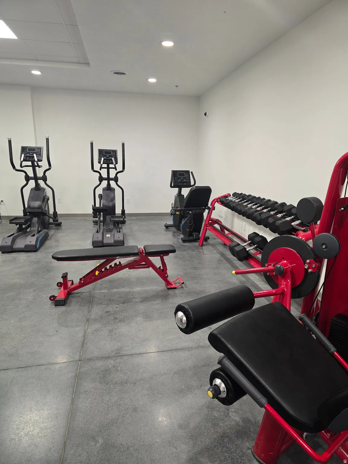 Fitness room featuring a selection of cardio equipment, weight machines, and free weights
