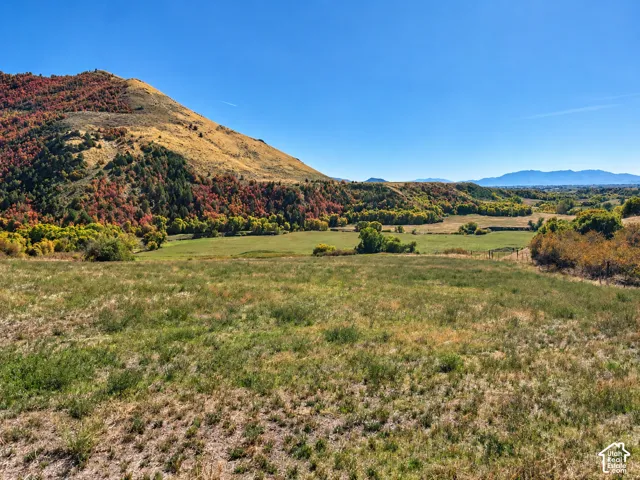 Expansive open field with distant mountain range and varied tree coverage