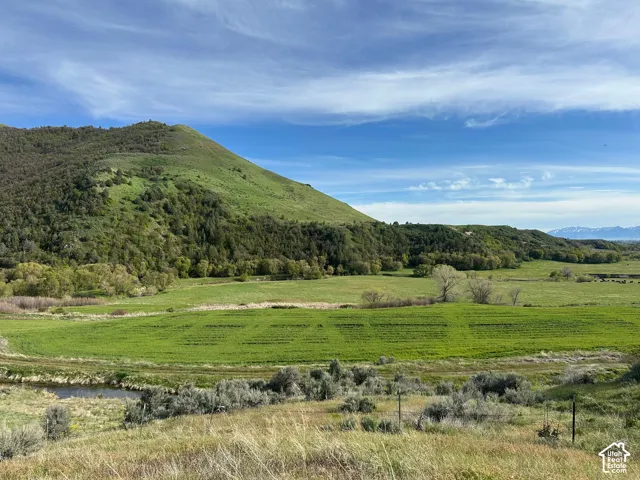 Expansive green landscape with a prominent hillside, surrounded by mature trees, and a distant mountain range under a vast sky