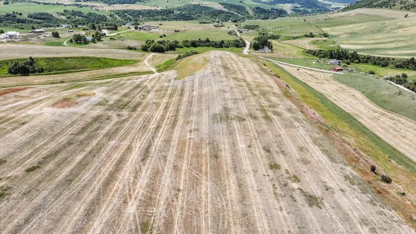 Expansive agricultural field with visible crop rows