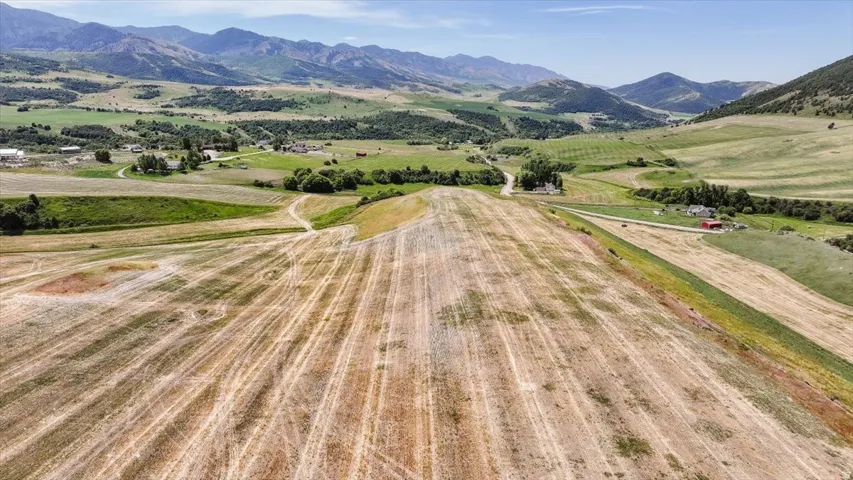Expansive agricultural fields with distant mountain backdrop, featuring scattered trees and rural structures