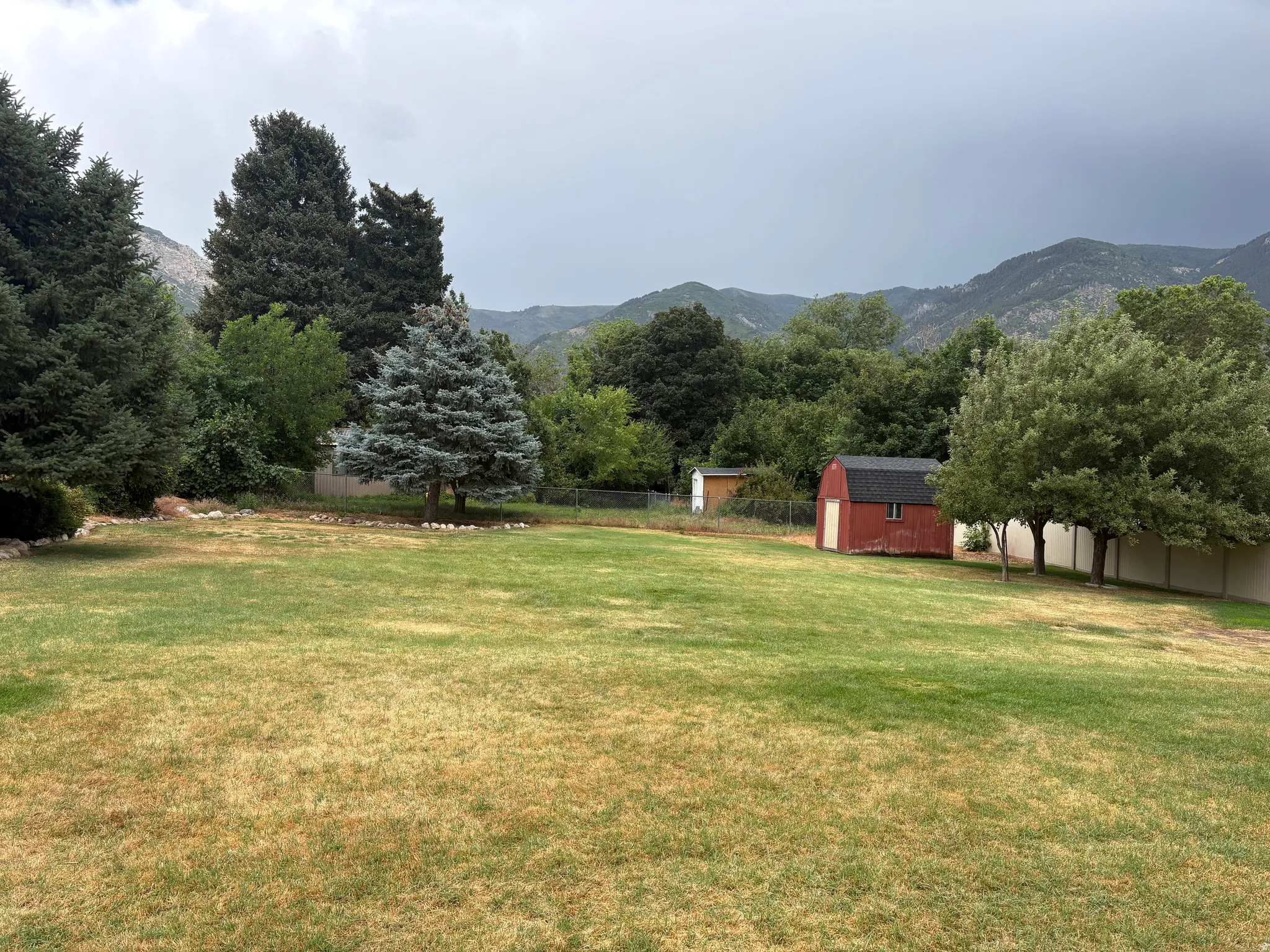 Expansive backyard featuring a large lawn, mature trees, a red shed, and a mountain backdrop