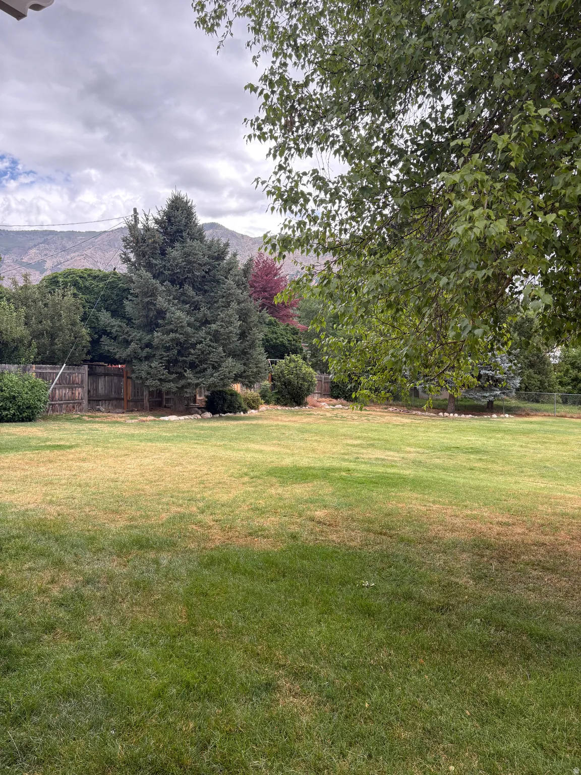 Beautiful backyard