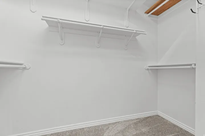 Walk-in closet featuring white walls, white shelving, and light gray carpet flooring