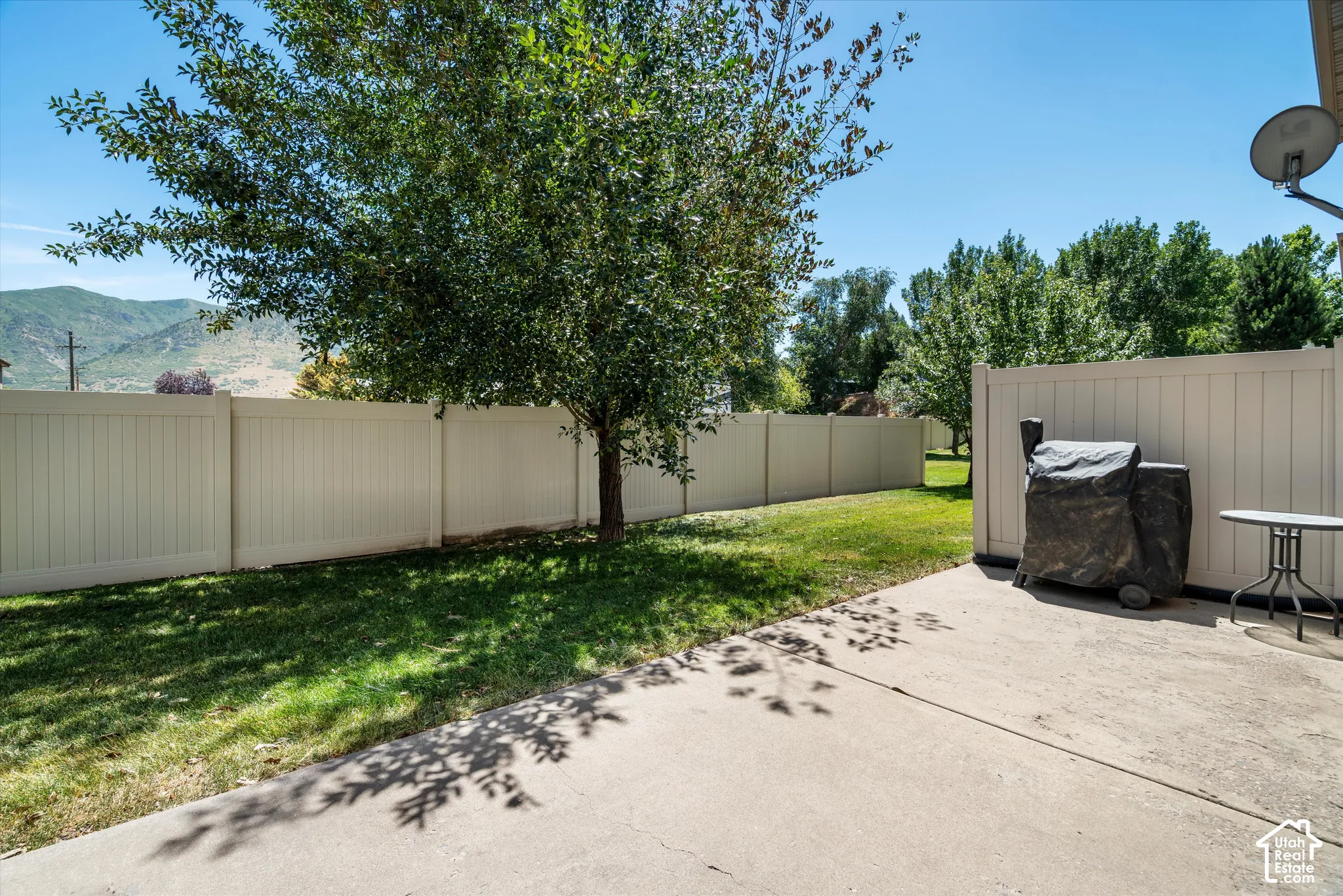 Expansive backyard featuring a concrete patio, a mature shade tree, a manicured lawn, and perimeter fencing