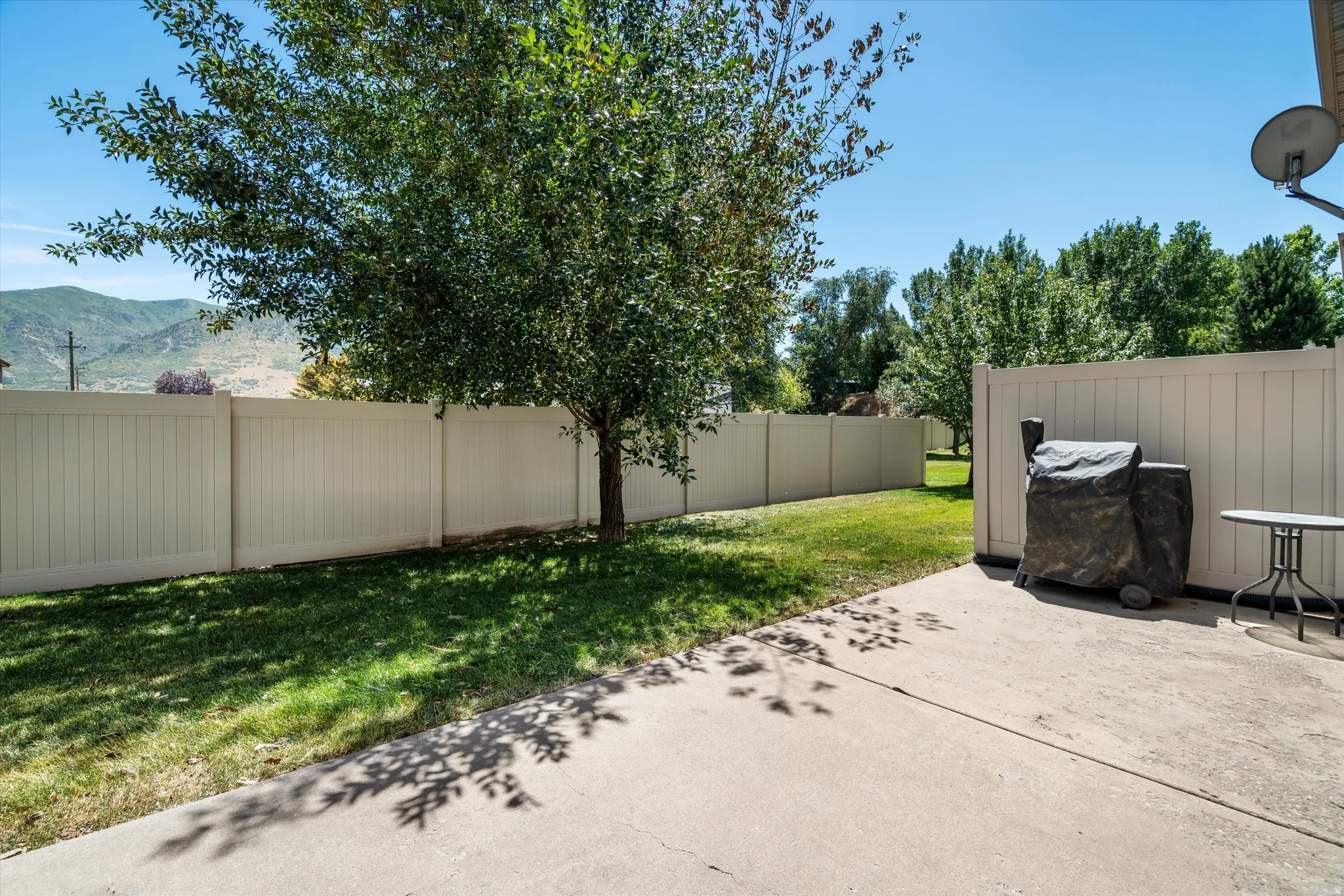 Expansive backyard featuring a concrete patio, a mature shade tree, a manicured lawn, and perimeter fencing