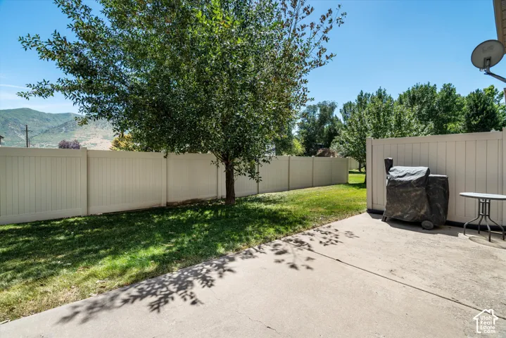 Expansive backyard featuring a concrete patio, a mature shade tree, a manicured lawn, and perimeter fencing
