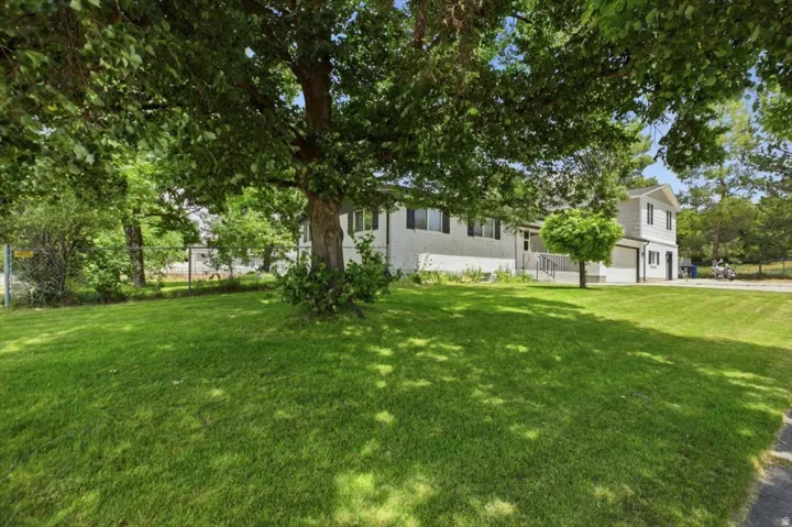 Expansive front lawn with mature shade trees