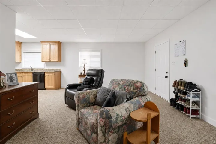Carpeted room featuring a built-in wet bar with light wood cabinetry, a sink, and a dishwasher