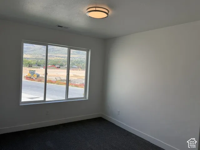 Large window featuring a mountain backdrop, neutral wall tones, and dark textured carpeting