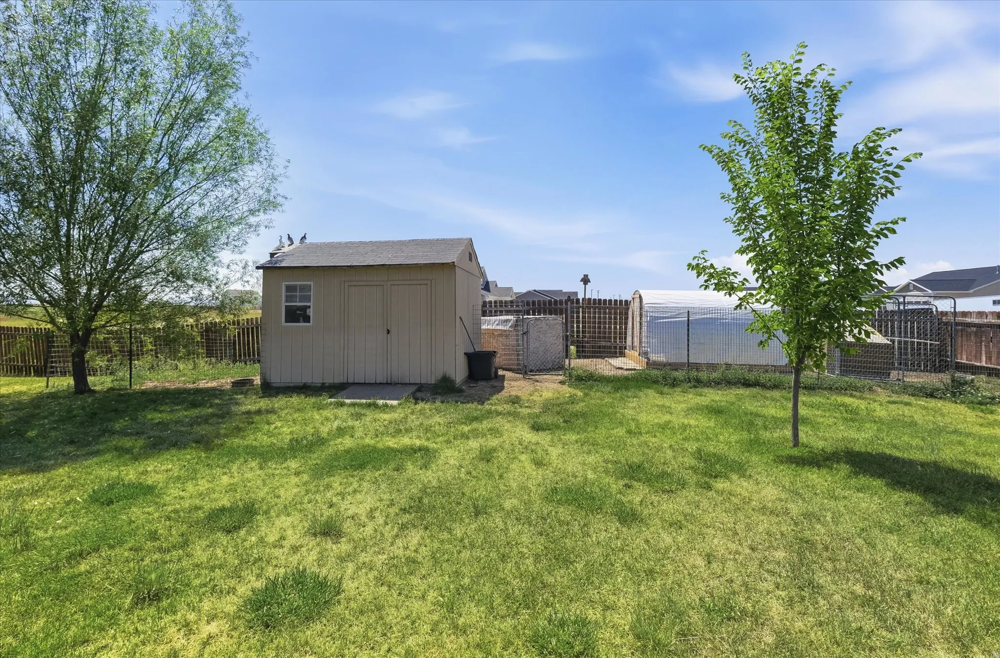 Expansive backyard featuring a storage shed with a window, a greenhouse structure, and mature trees providing natural shading