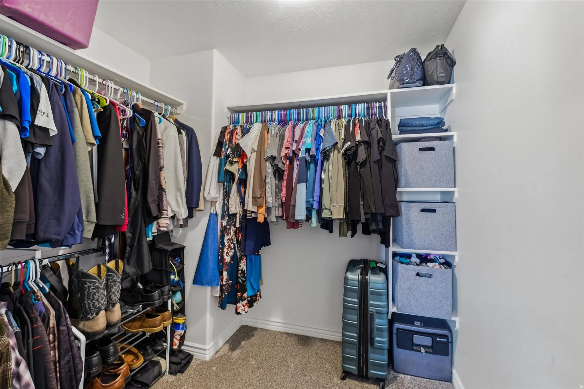 Walk-in closet featuring multiple clothing rods, upper shelving, built-in shelving unit, and carpet flooring