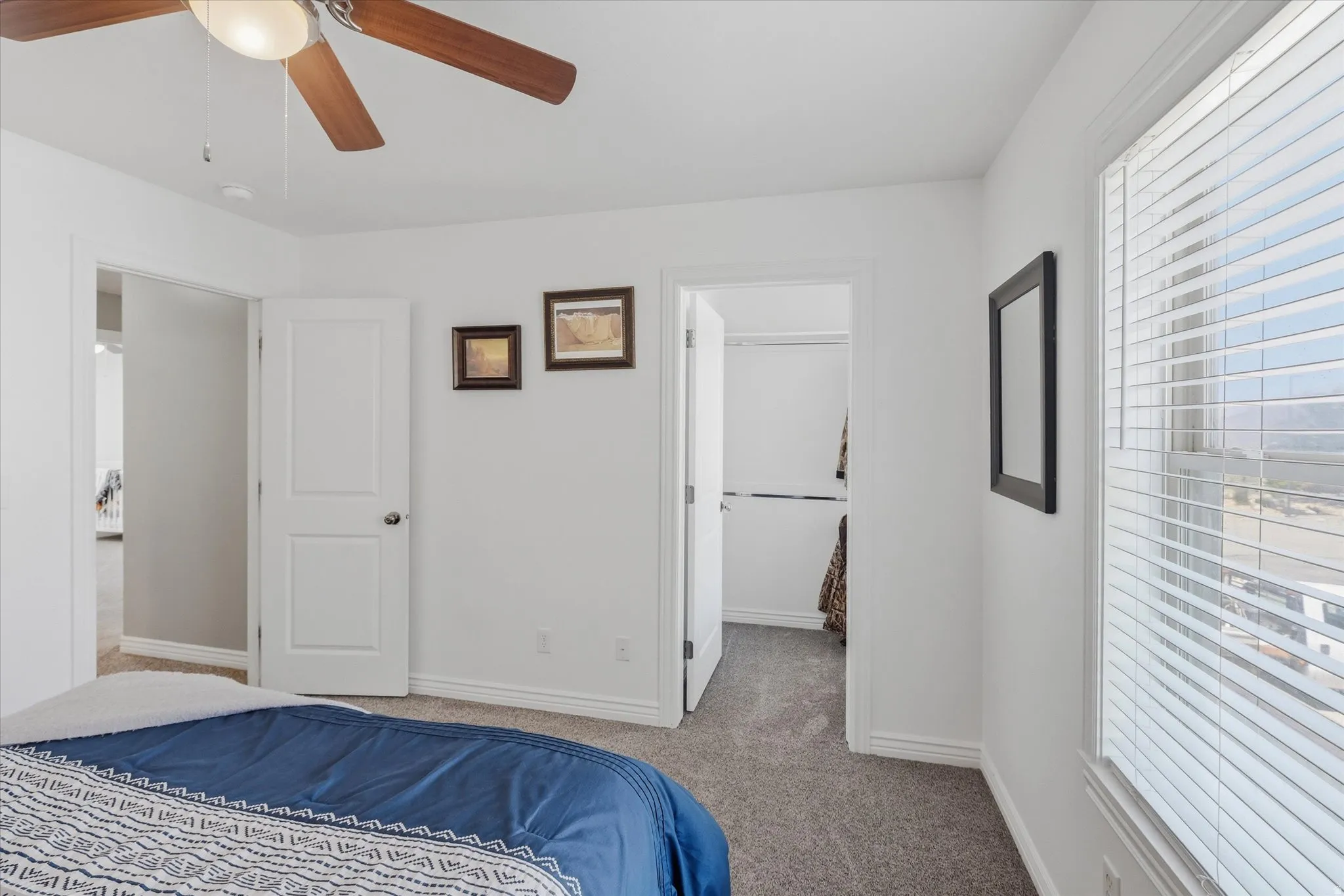 Carpeted bedroom featuring a ceiling fan with light, a window with blinds, and white interior doors, one leading to a closet with shelving