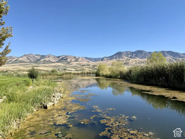 Expansive waterway framed by lush reeds and natural grass, set against a backdrop of distant mountains