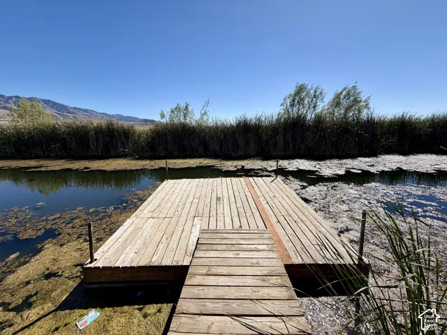 Wooden dock extending over water, surrounded by natural reeds and distant mountains