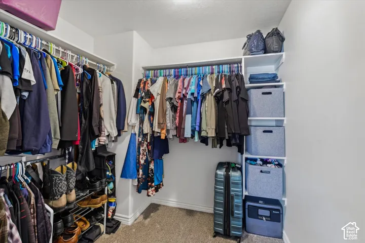 Walk-in closet featuring multiple clothing rods, upper shelving, built-in shelving unit, and carpet flooring