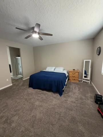 Spacious room featuring neutral-toned walls and plush carpet flooring