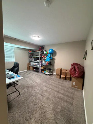 Carpeted room featuring a white ceiling, recessed window with blinds, and neutral wall paint