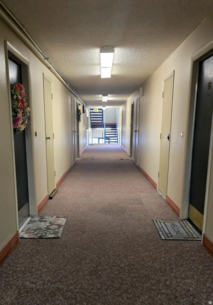 Carpeted hallway featuring multiple entry doors and overhead lighting