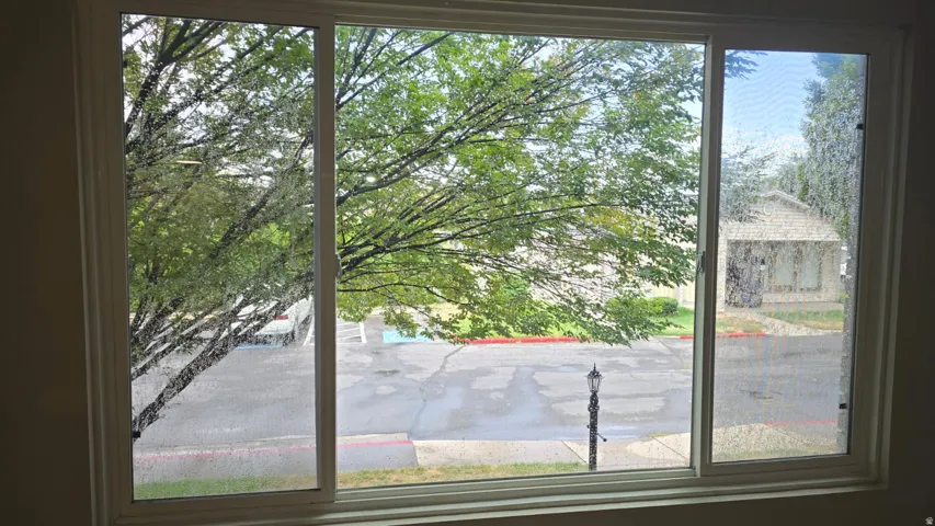 White-framed window offering outdoor visuals